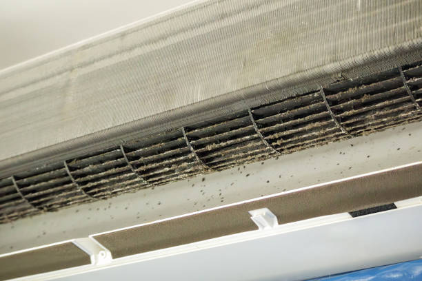 Best HVAC System Cleaning  in Pearl City, HI