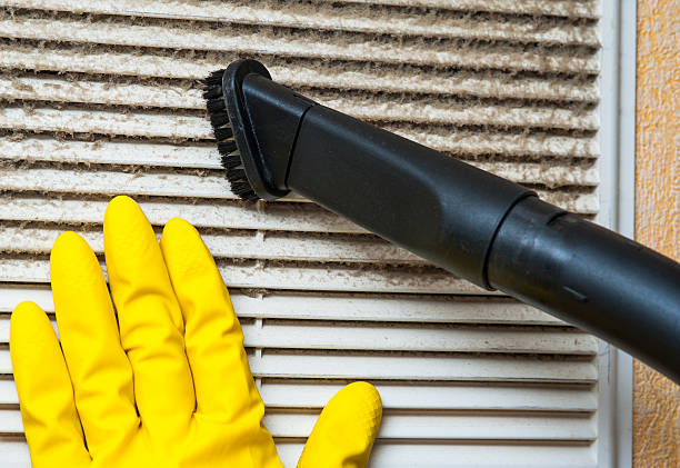 Best Air Duct Cleaning Near Me  in Pearl City, HI